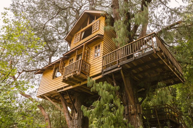 Treehouse with Scenic Views