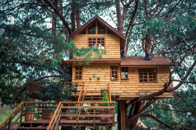 Treehouse, Treehouse Builder, Louisiana